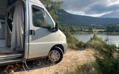 De website van BijRyanda is gelanceerd per 19 mei 2025